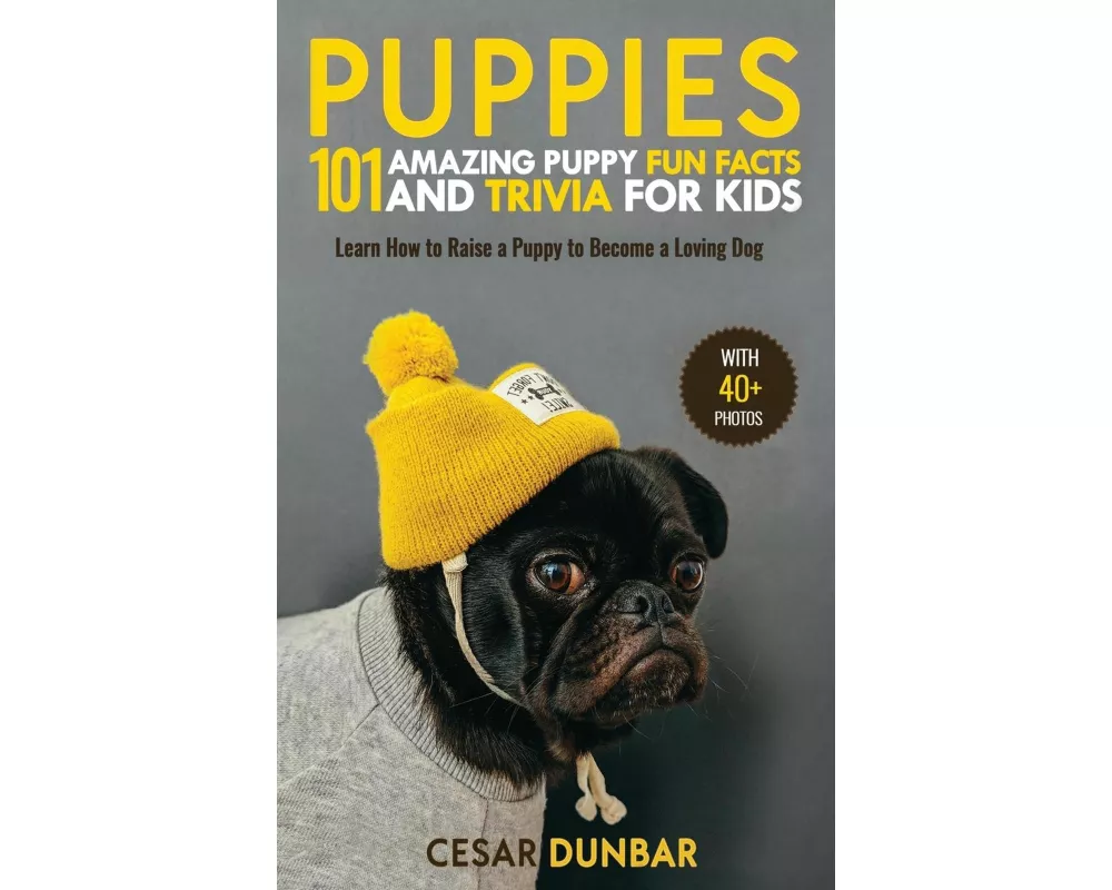 Puppies