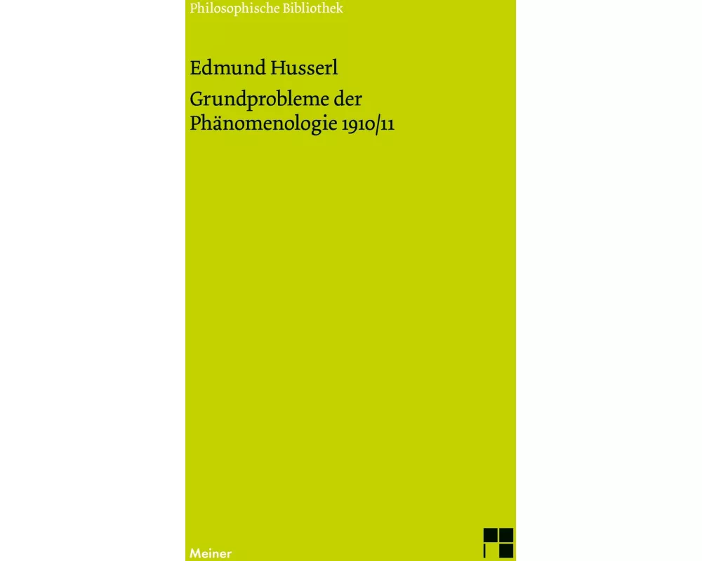 Grundprobleme der Phänomenologie 1910/11