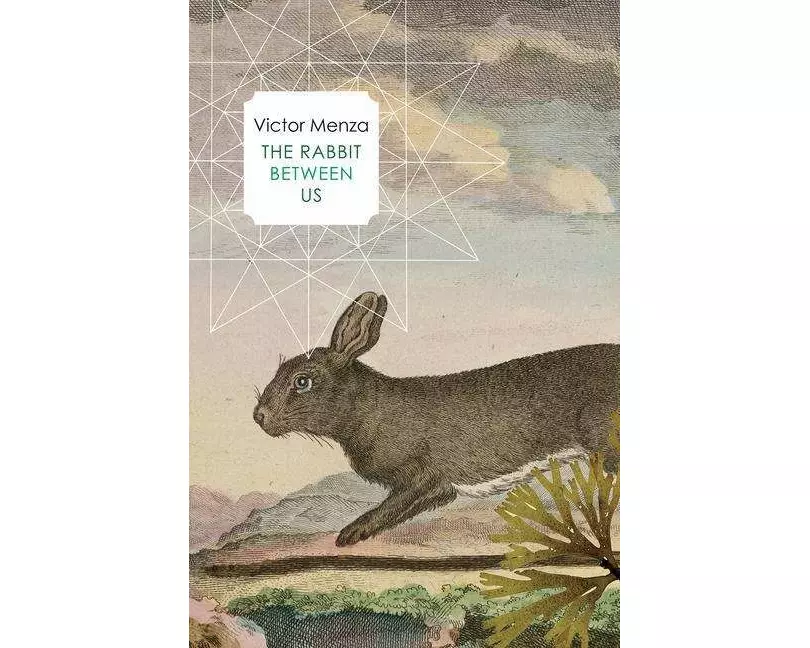 The Rabbit Between Us