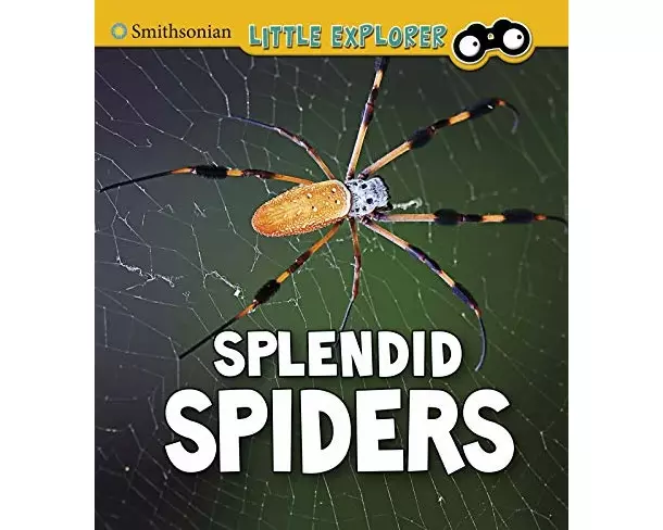 Splendid Spiders