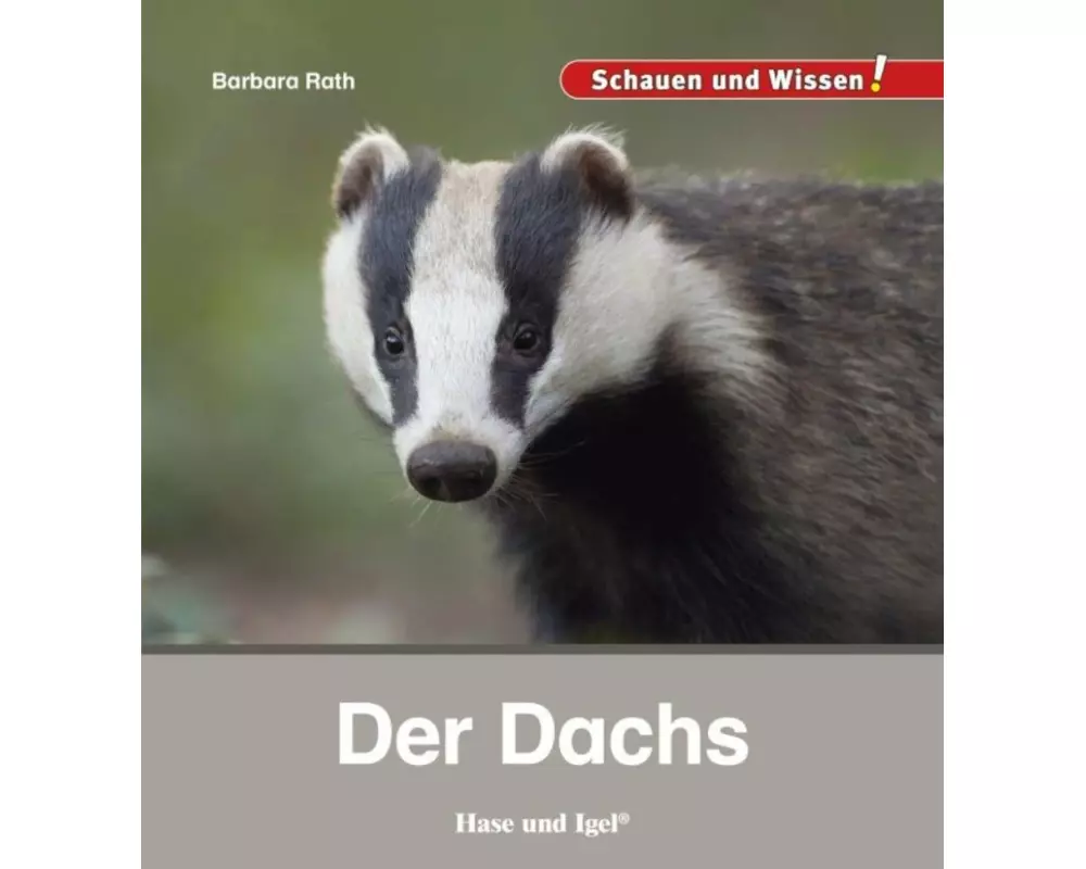 Der Dachs