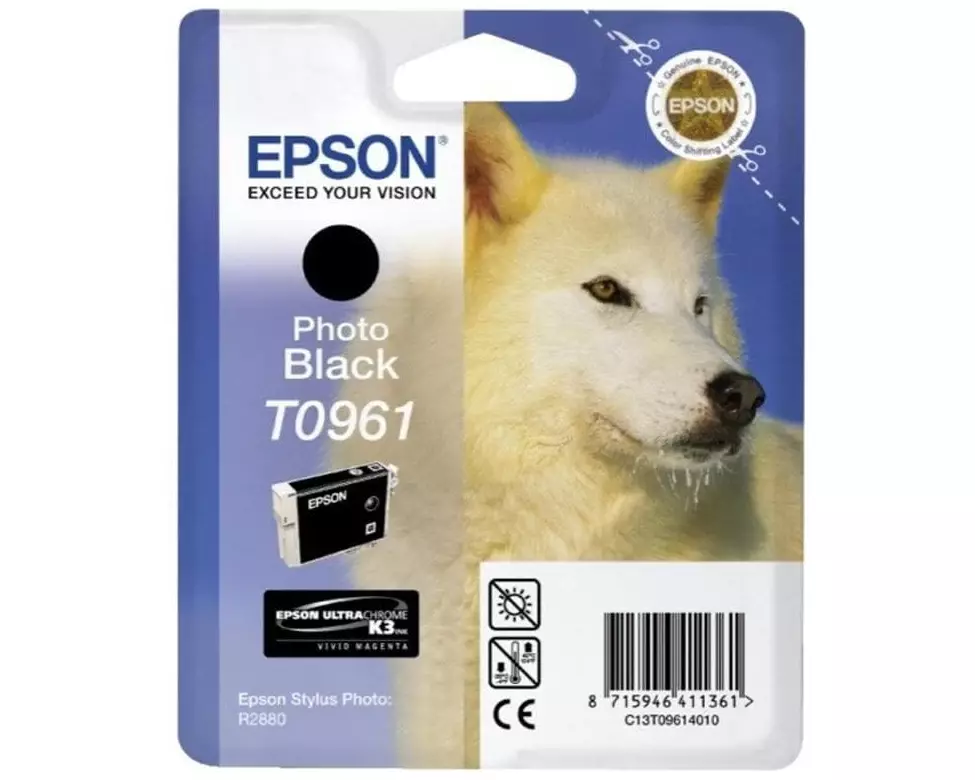 Epson Tinte C13T09614010 Photo Black
