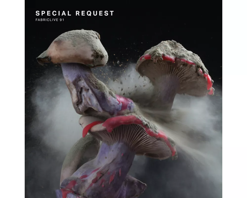 FABRICLIVE 91: Special Request