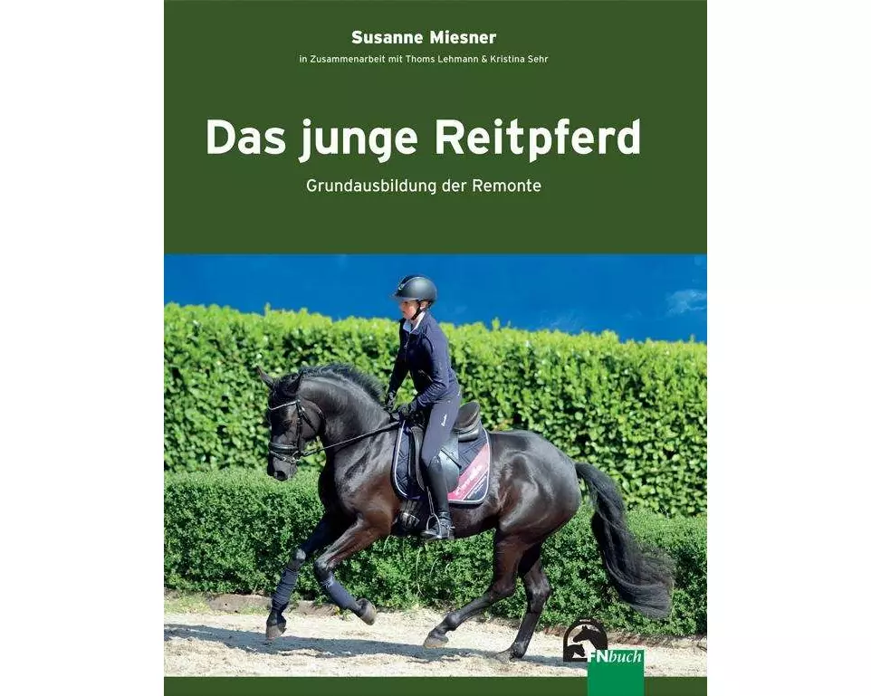 Das junge Reitpferd