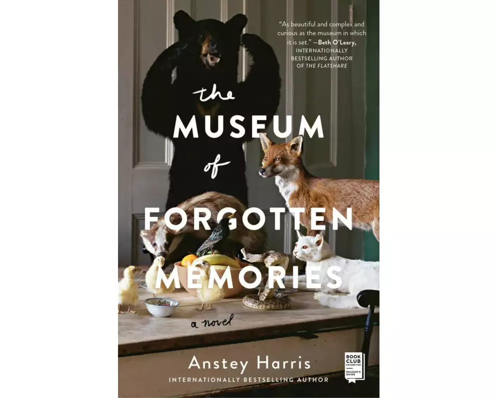 The Museum of Forgotten Memories