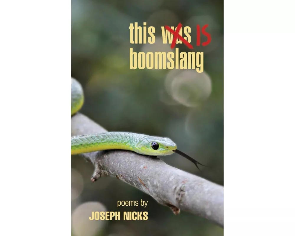 this is boomslang