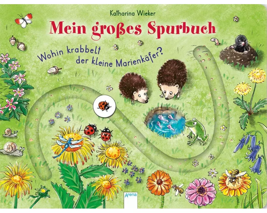 Wohin krabbelt der kleine Marienkäfer?