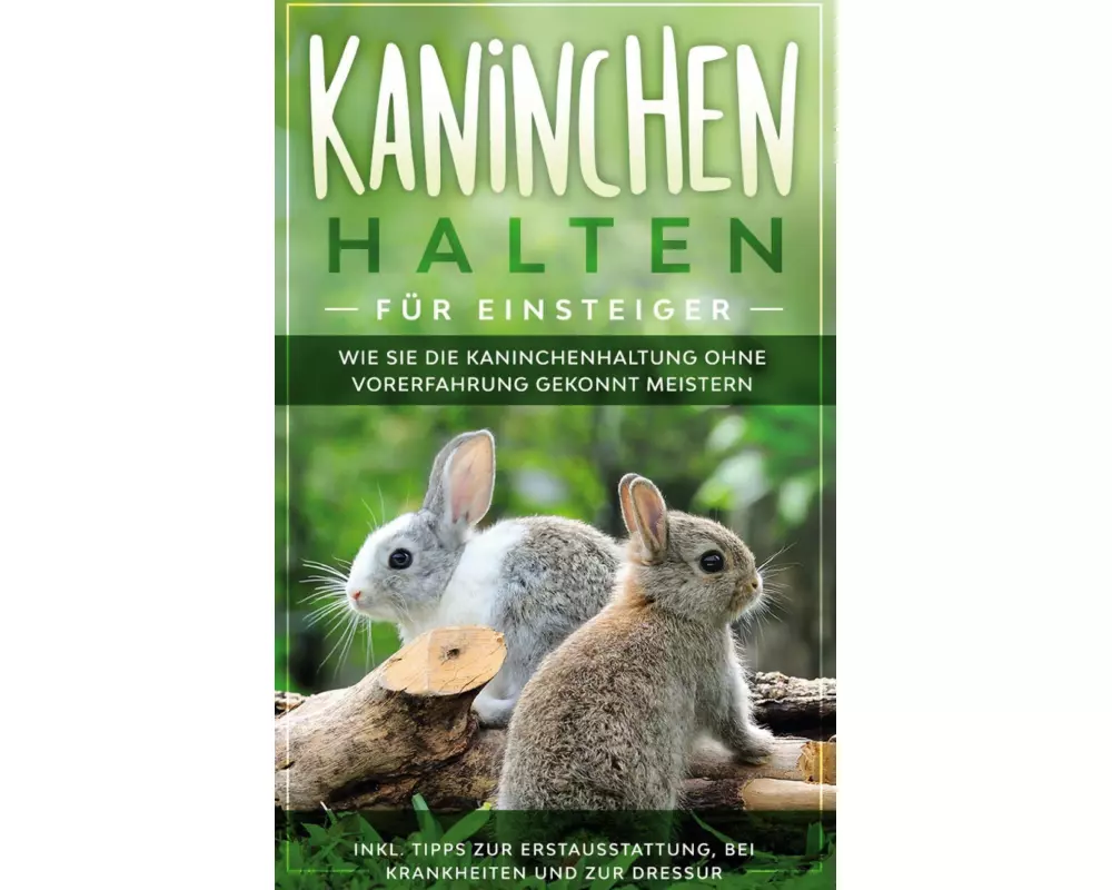Kaninchen halten für Einsteiger