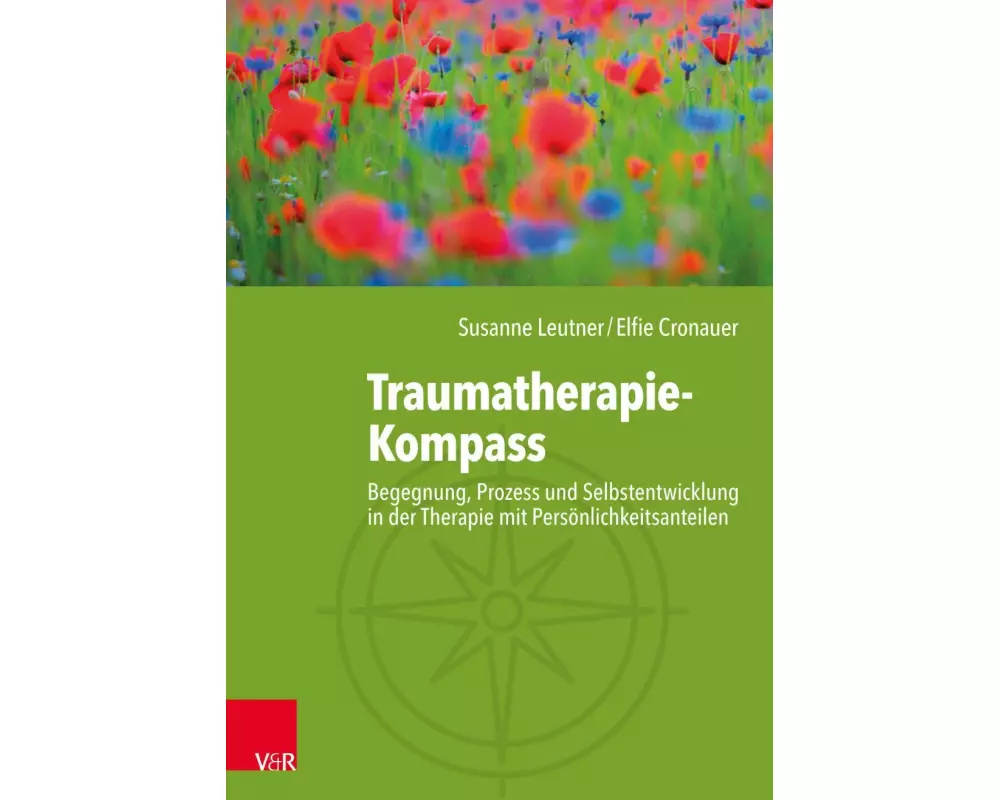 Traumatherapie-Kompass