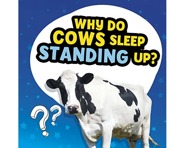 Why Do Cows Sleep Standing Up?