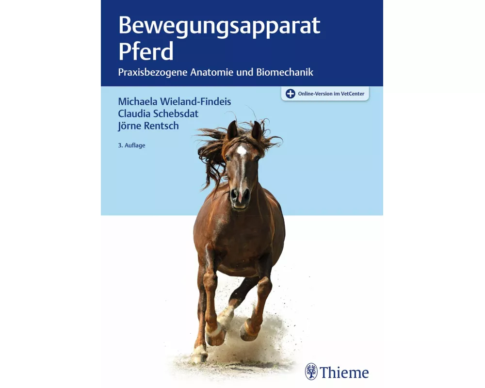 Bewegungsapparat Pferd