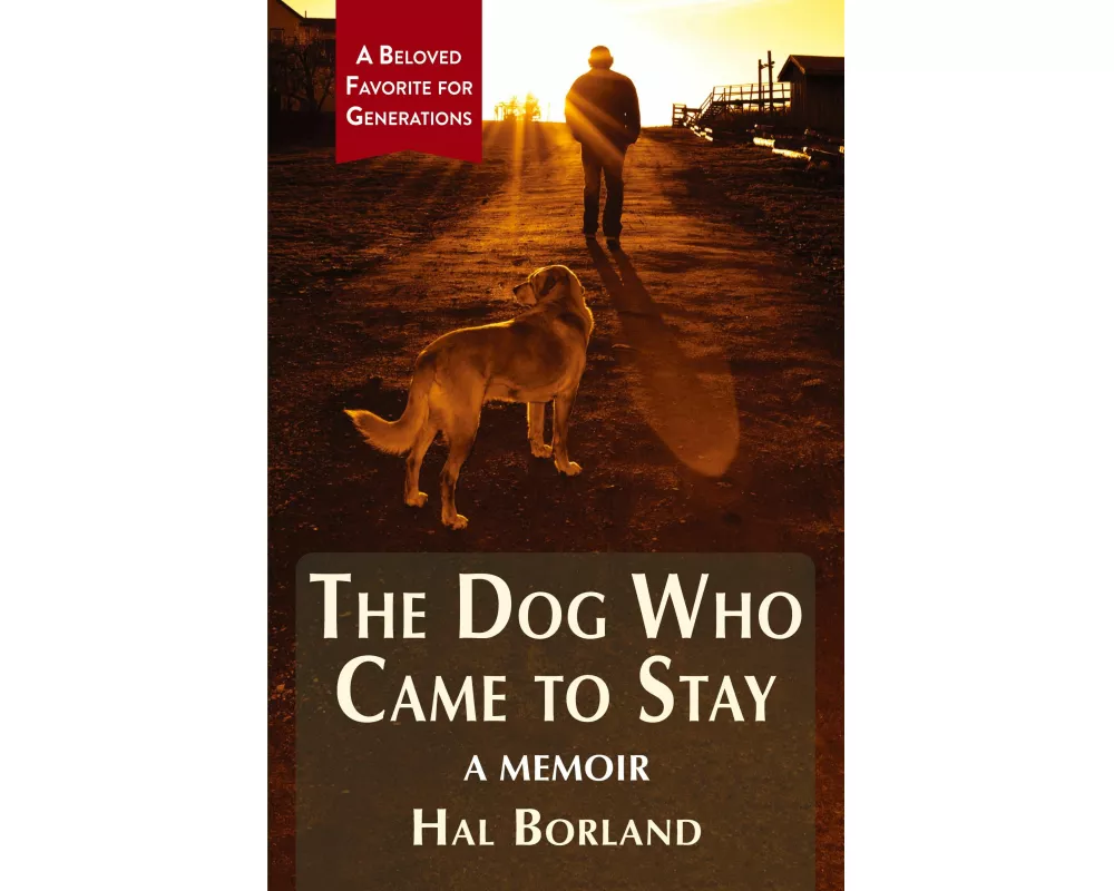 The Dog Who Came to Stay