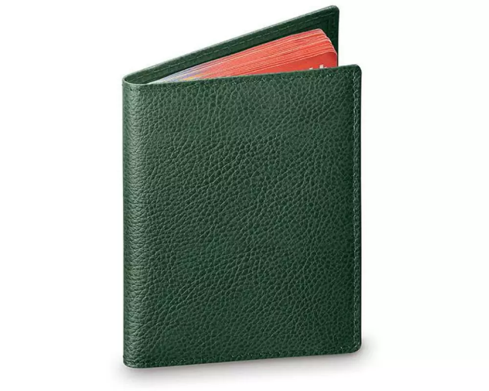 Swicure Schutzhülle Passport-Safe Dunkelgrün