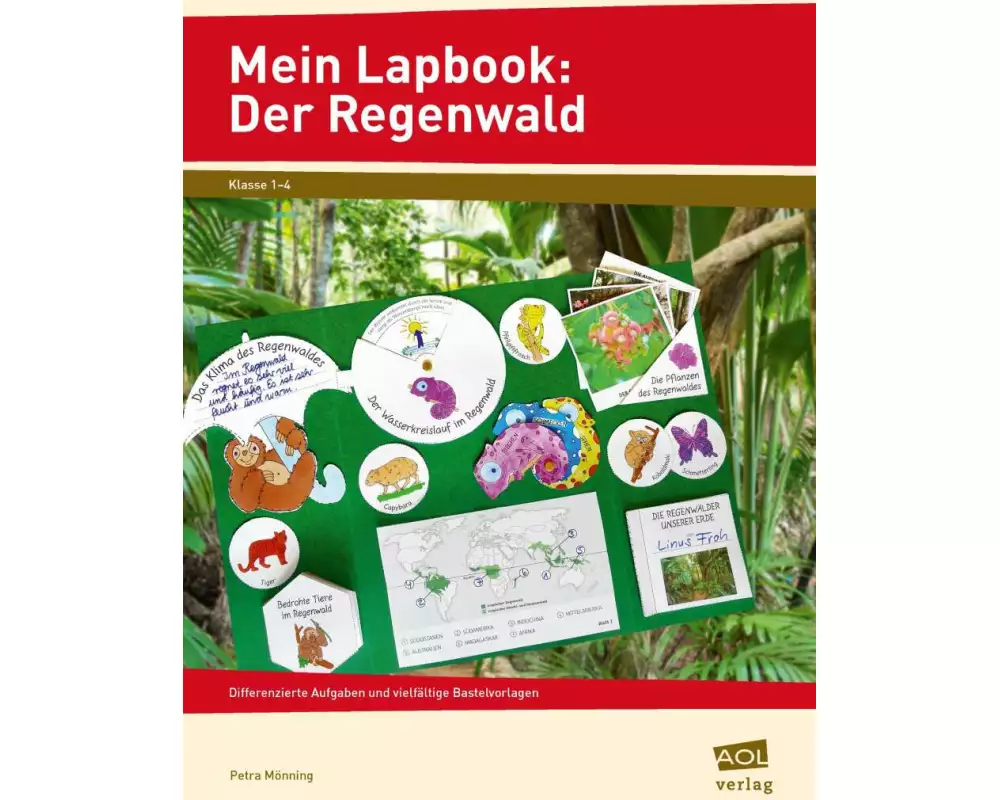 Mein Lapbook: Der Regenwald