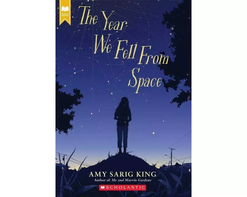 The Year We Fell From Space (Scholastic Gold)