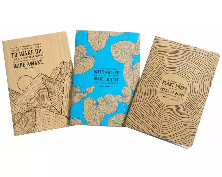 Conservation Sewn Notebook Collection (Set of 3): Set of 2