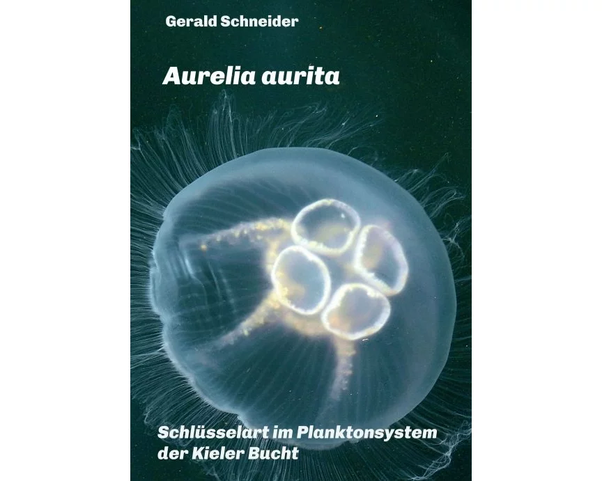 Aurelia aurita