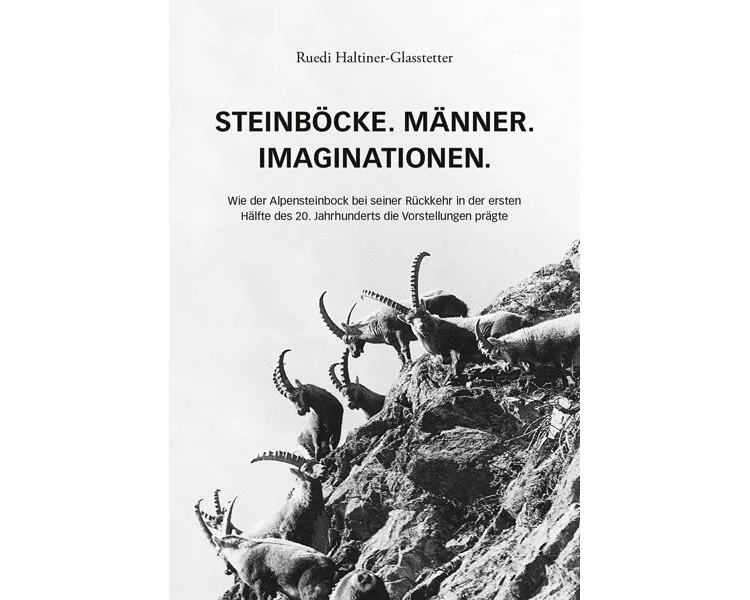 Steinböcke. Männer. Imaginationen