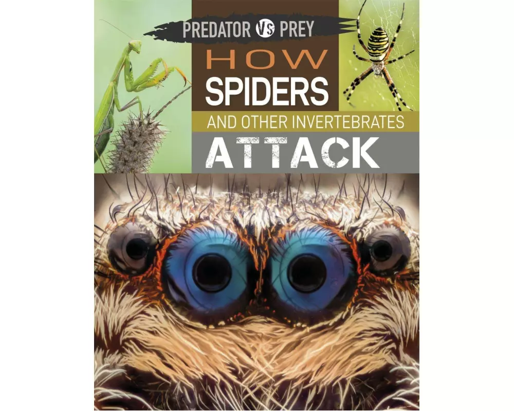 Predator vs Prey: How Spiders and other Invertebrates Attack