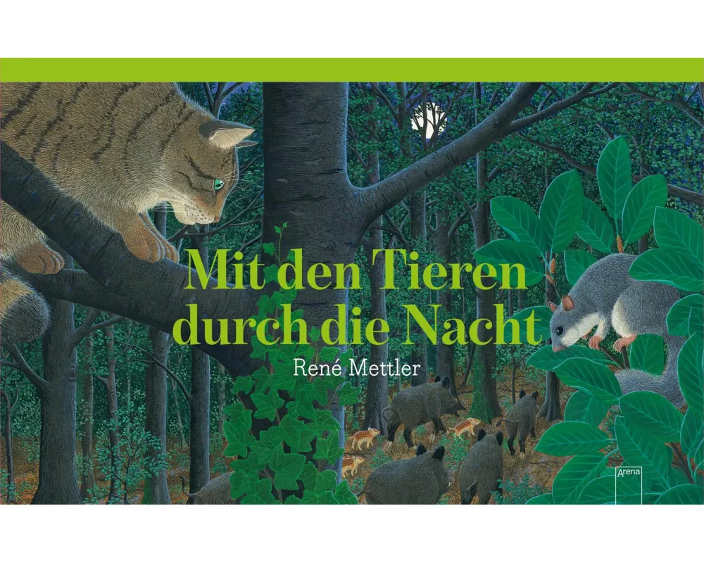 Mit den Tieren durch die Nacht