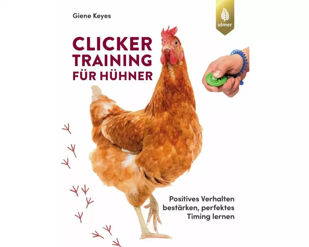 Clickertraining für Hühner
