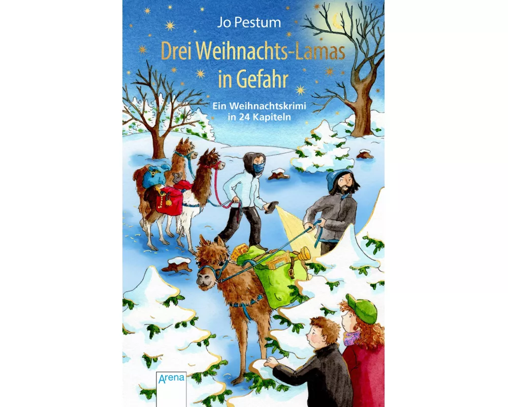 Drei Weihnachts-Lamas in Gefahr