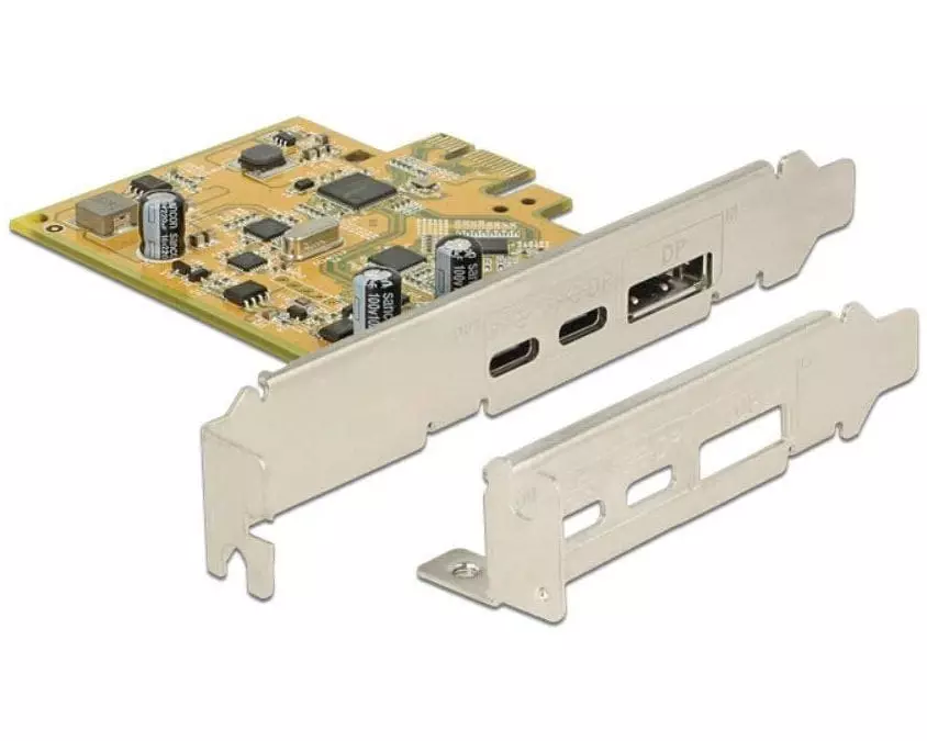 Delock PCI-Express-Karte 89582 USB 3.1 Gen2 - 2x Type-C + DP