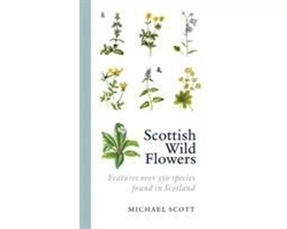 Scottish Wild Flowers