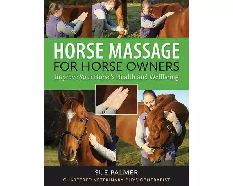 Horse Massage for Horse Owners