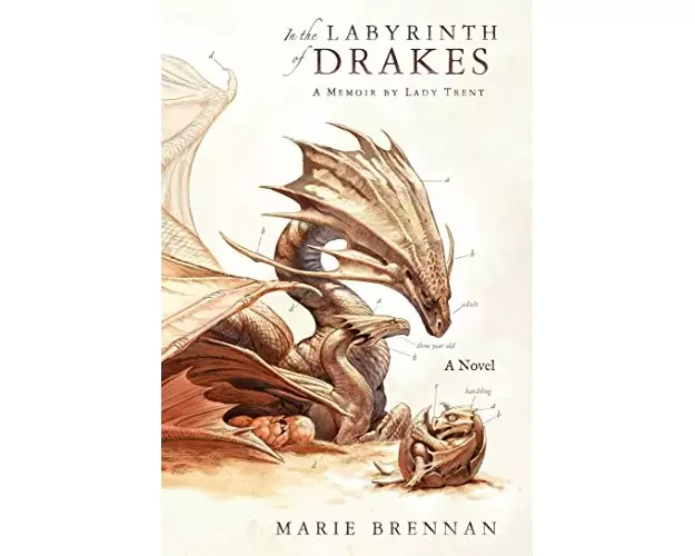 In the Labyrinth of Drakes