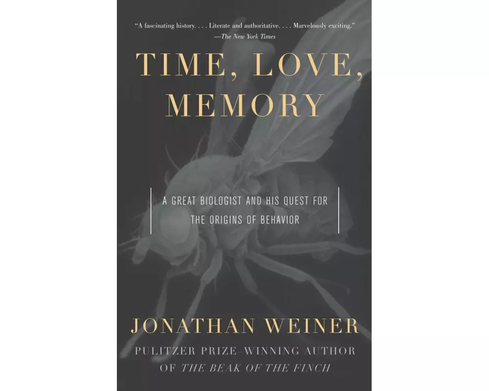 Time, Love, Memory