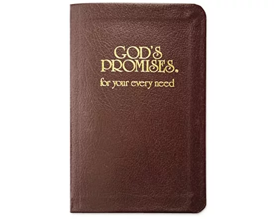 God's Promises for Your Every Need