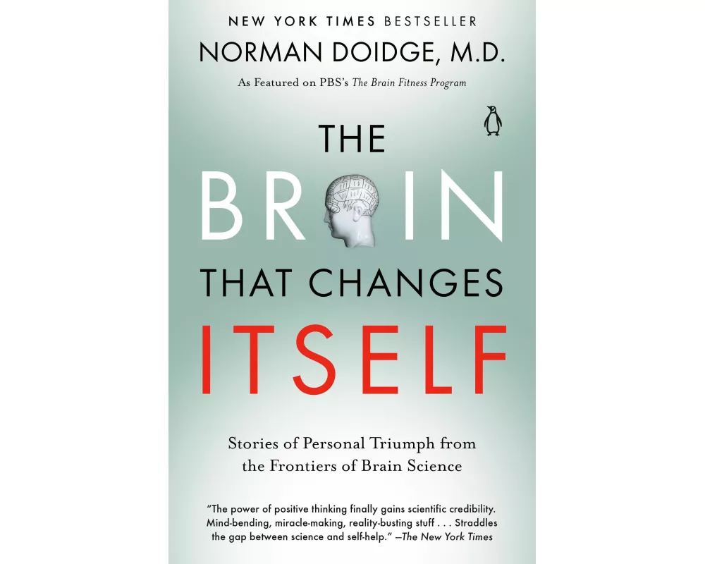 The Brain That Changes Itself