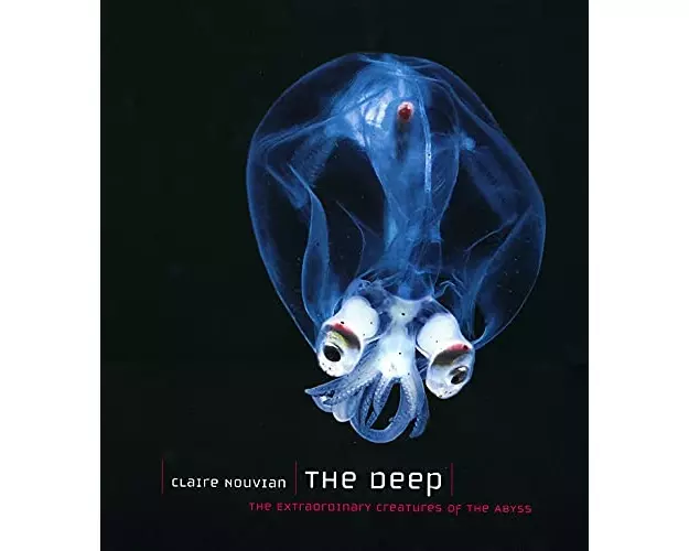 The Deep