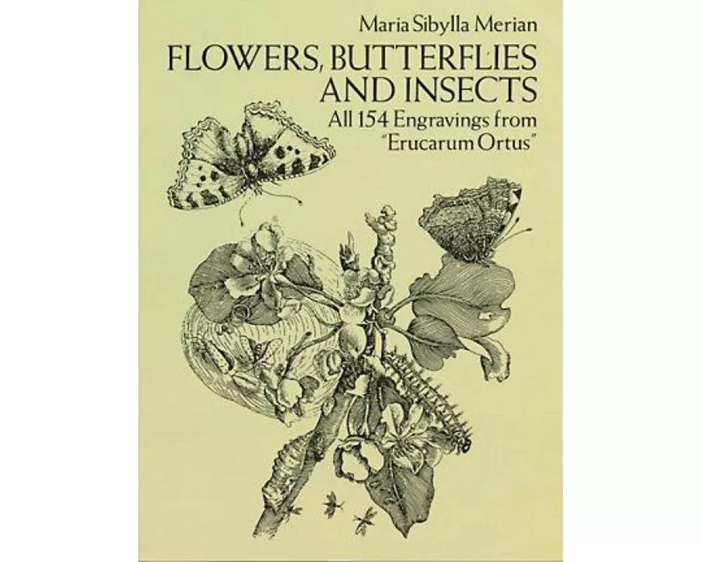 Flowers, Butterflies and Insects