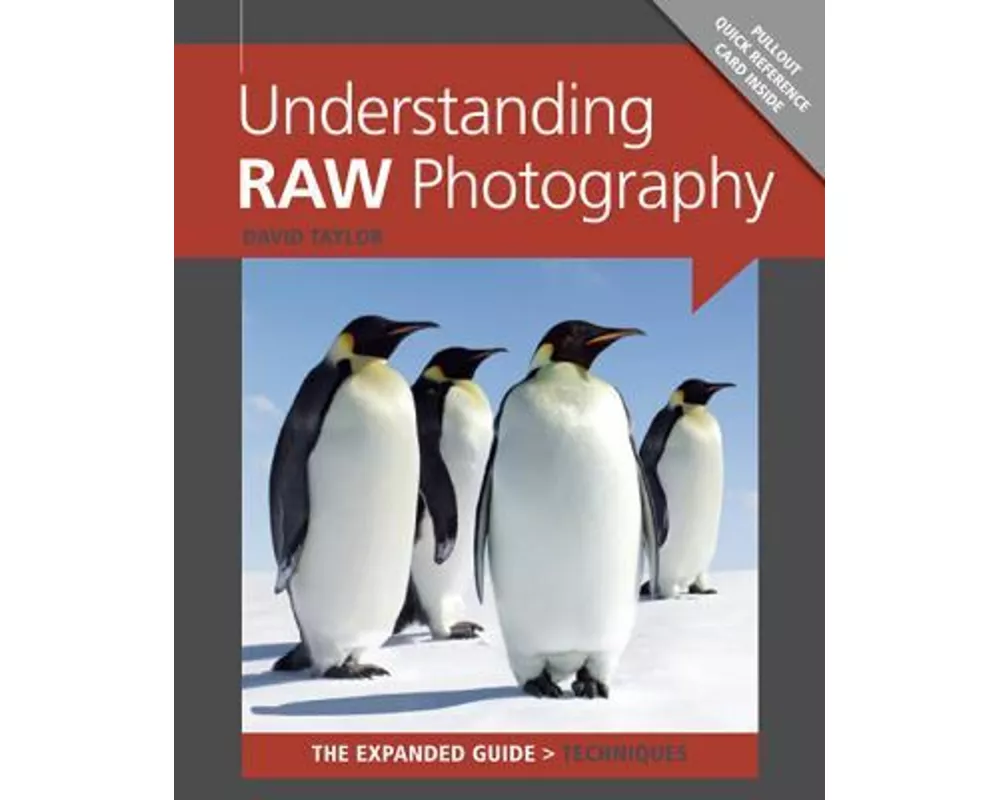 Understanding RAW Photography