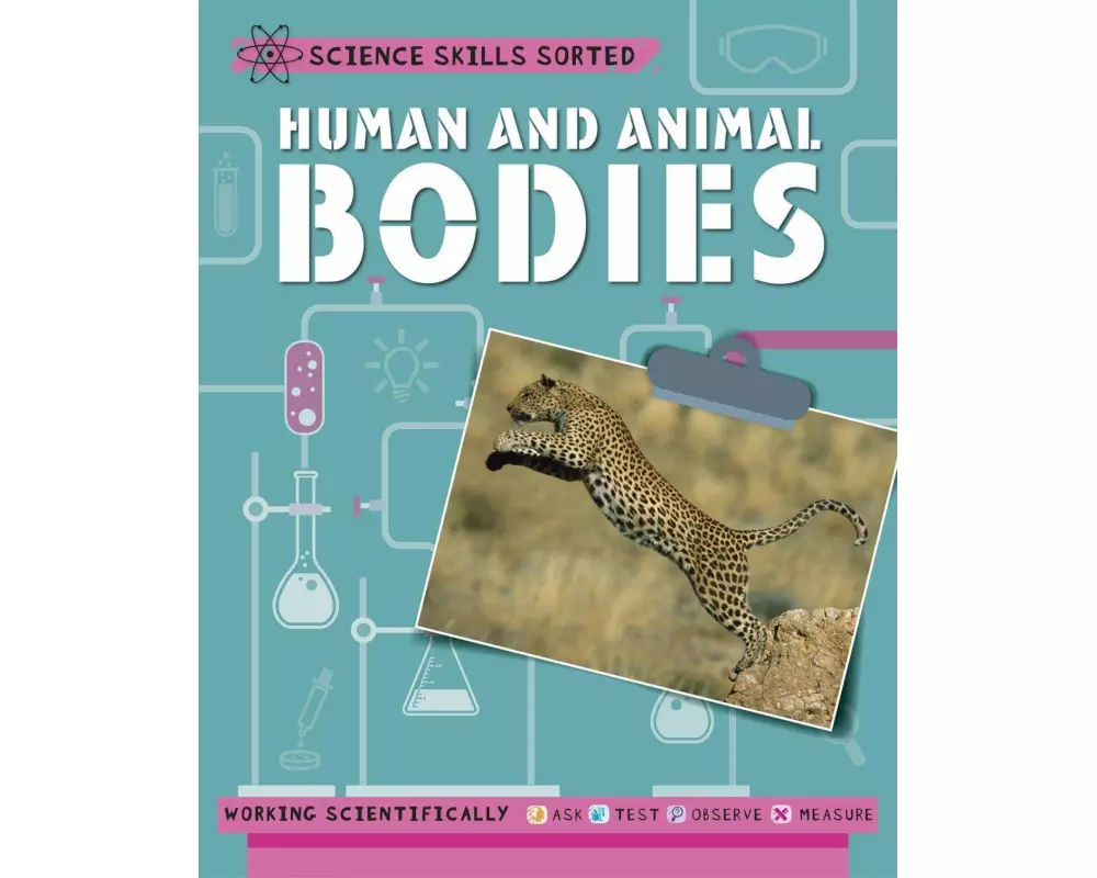 Science Skills Sorted!: Human and Animal Bodies