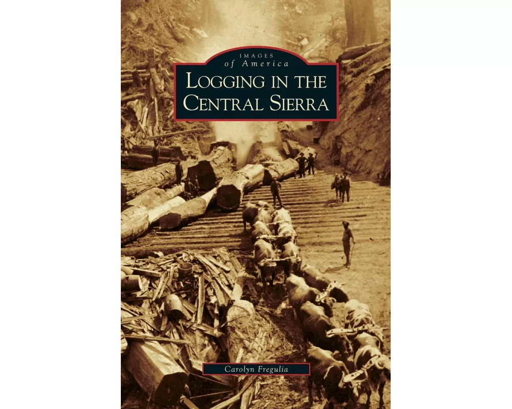 Logging in the Central Sierra