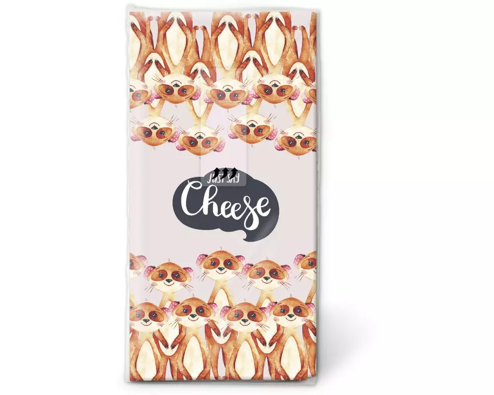 Paper + Design Taschentücher Say Cheese 4-lagig, 10 Stück