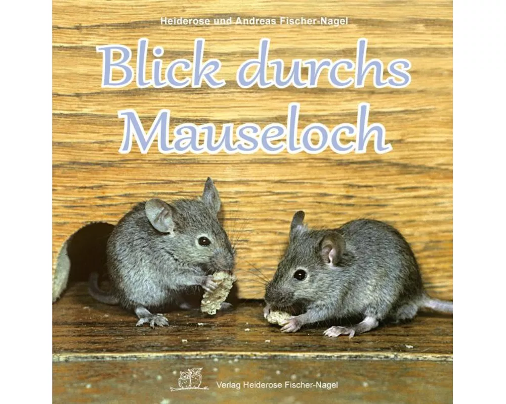 Blick durchs Mauseloch