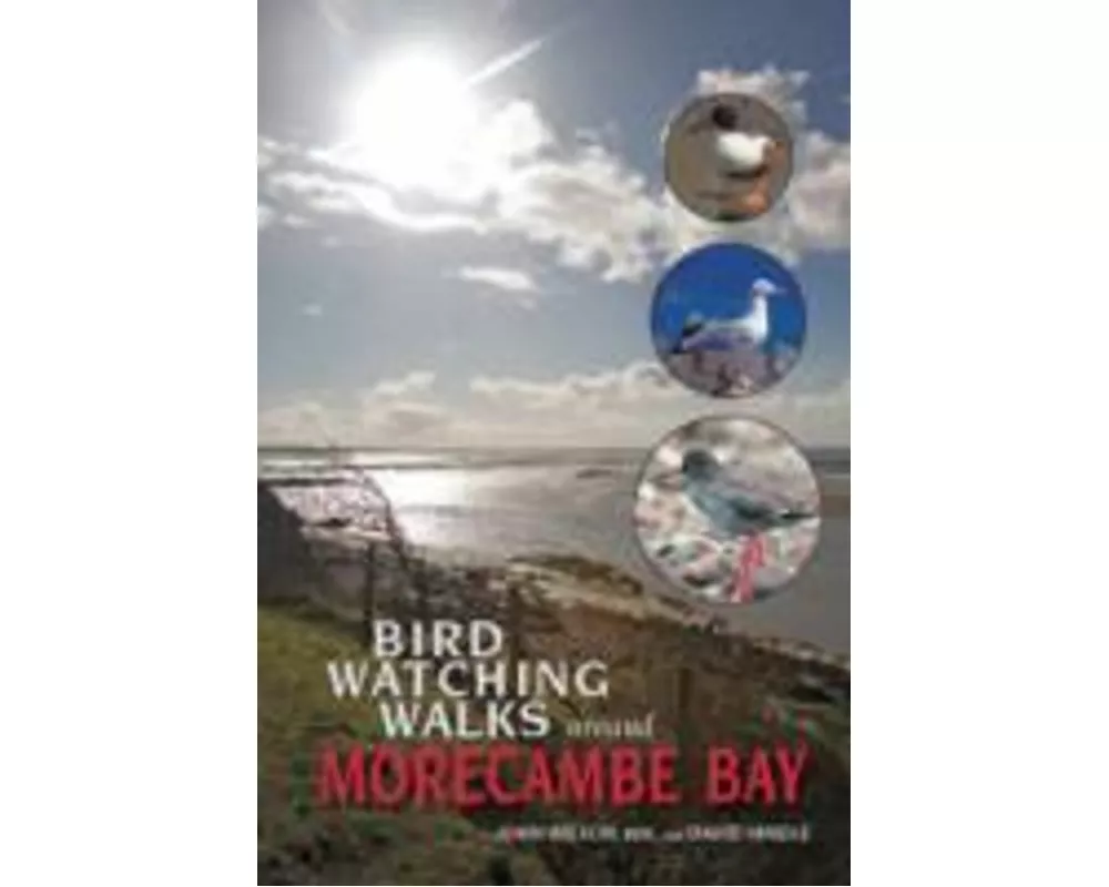 Birdwatching Walks Around Morecambe Bay