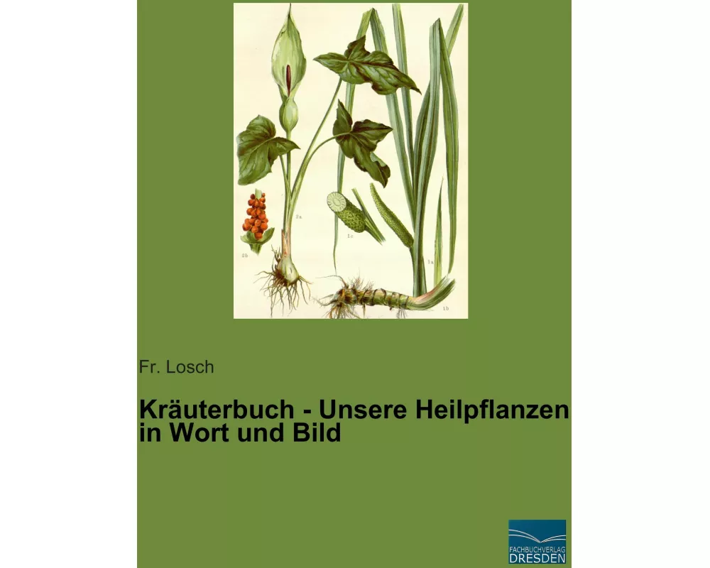 Kräuterbuch - Unsere Heilpflanzen in Wort und Bild