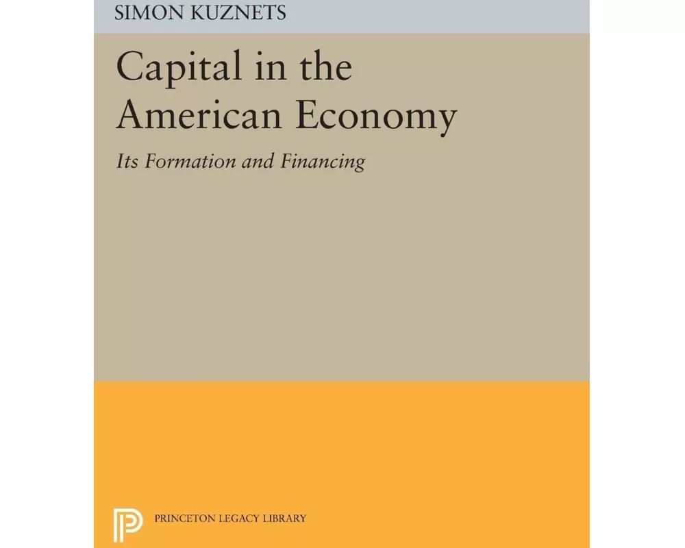 Capital in the American Economy