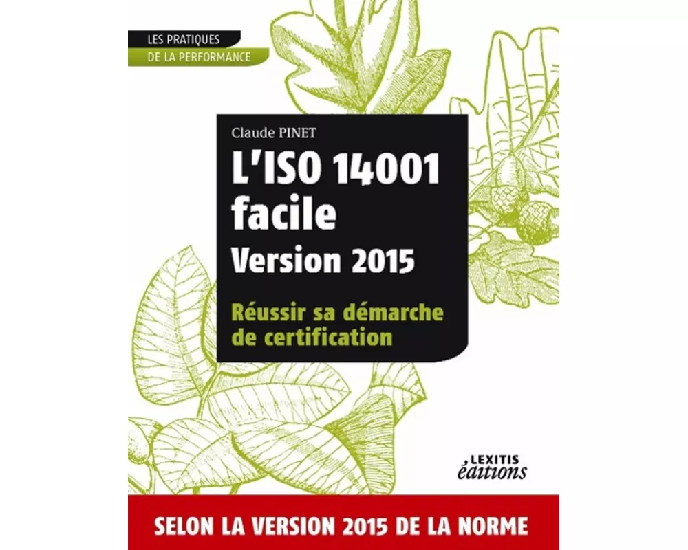 L'ISO 14001 facile Version 2015 Réussir sa démarche de certification