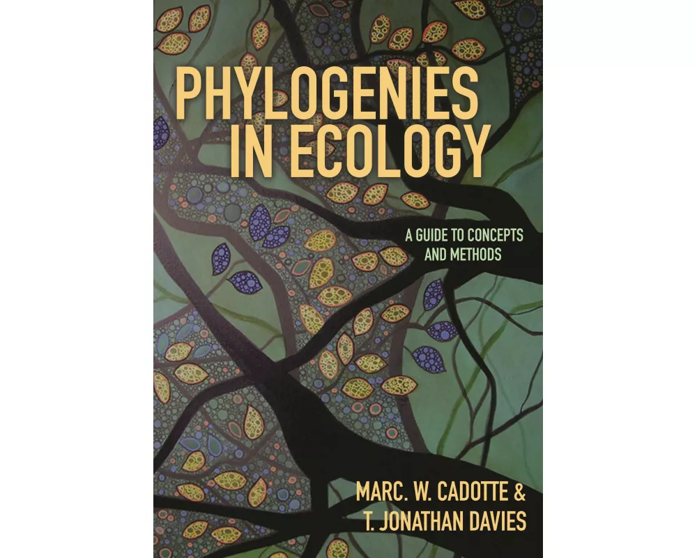 Phylogenies in Ecology