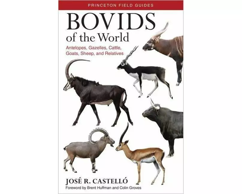 Bovids of the World