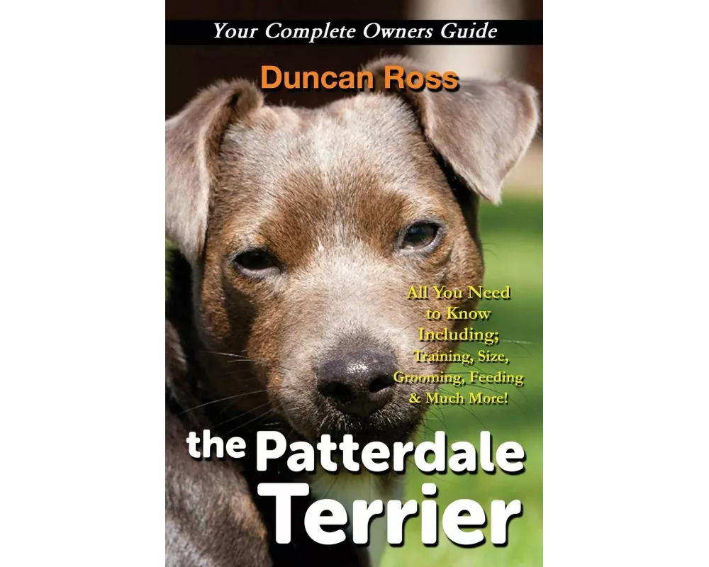 The Patterdale Terrier