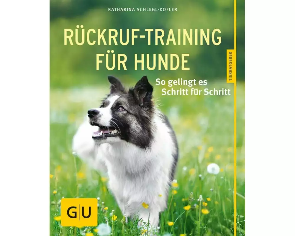 Rückruftraining für Hunde