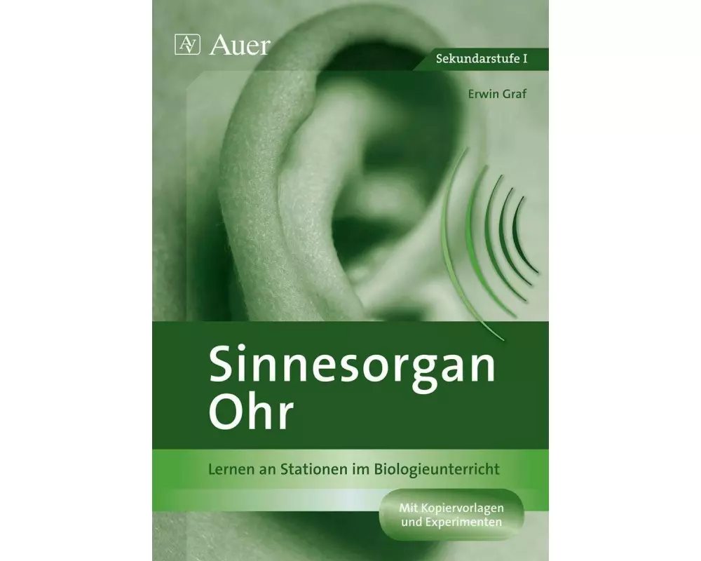 Sinnesorgan Ohr