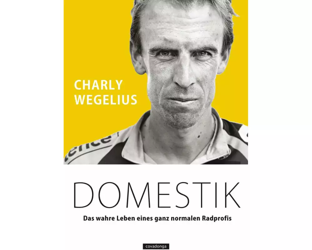Domestik